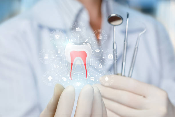 Best Dental X-Rays and Imaging  in Winslow, AZ